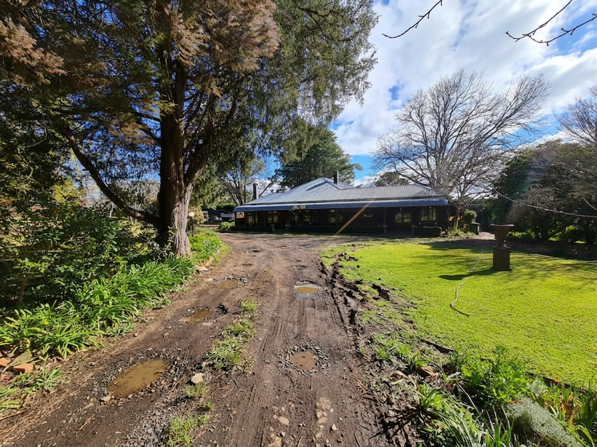 Before — muddy dirt driveway with potholes